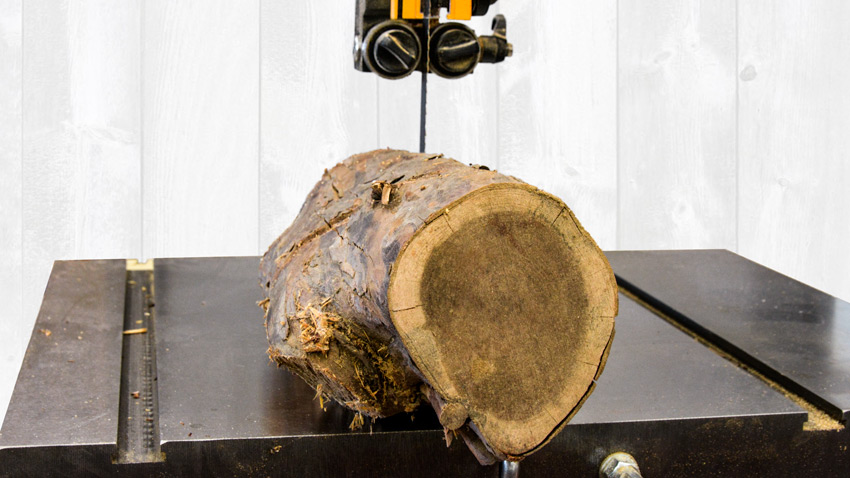 Ripping Logs on a Bandsaw
