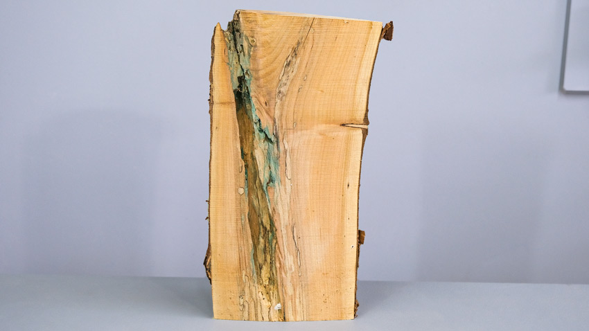 Spalted Wood