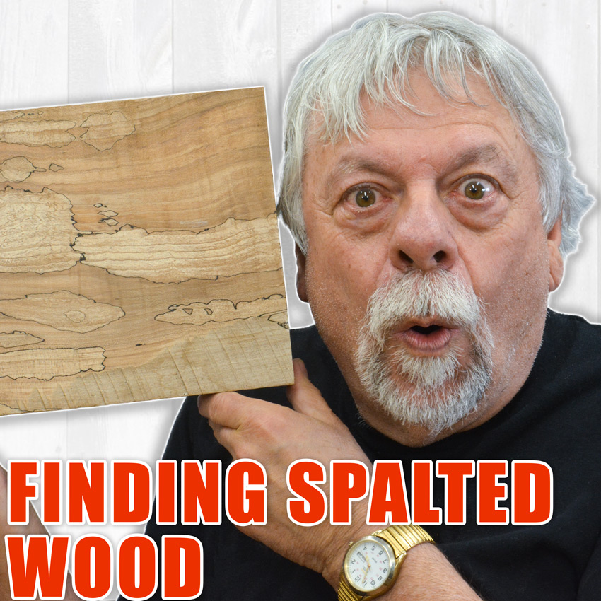Finding Spalted Wood for Woodworking / Free Lumber
