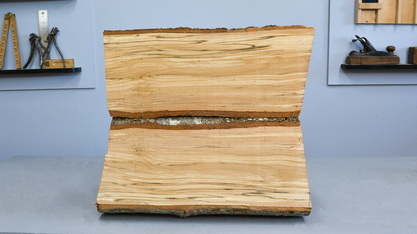 Spalted Log