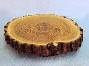 lazy susan
