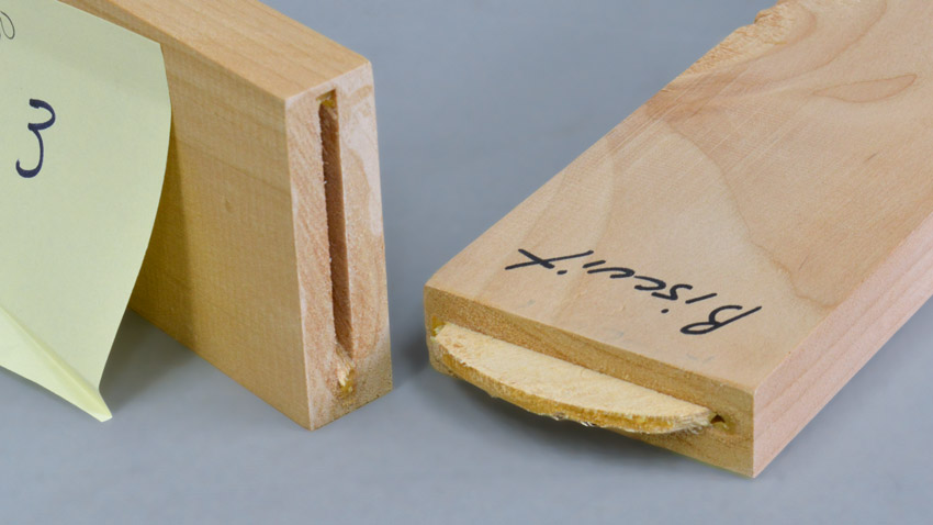 Biscuit Joints
