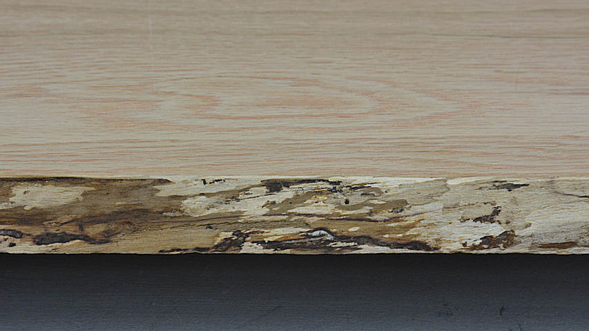 Fake Live Edge