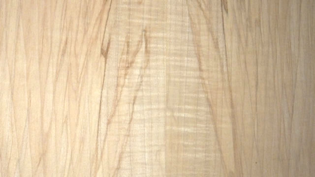spalting