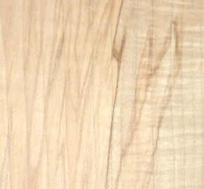 spalting